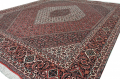 5815_Bijar_238x200_Red_Navy_B
