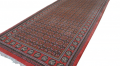1949_Qum_205x80_Salmon_Salmon_B